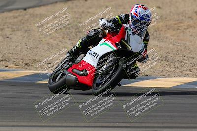 media/Mar-13-2022-SoCal Trackdays (Sun) [[112cf61d7e]]/Turns 9 and 8 (1020am)/